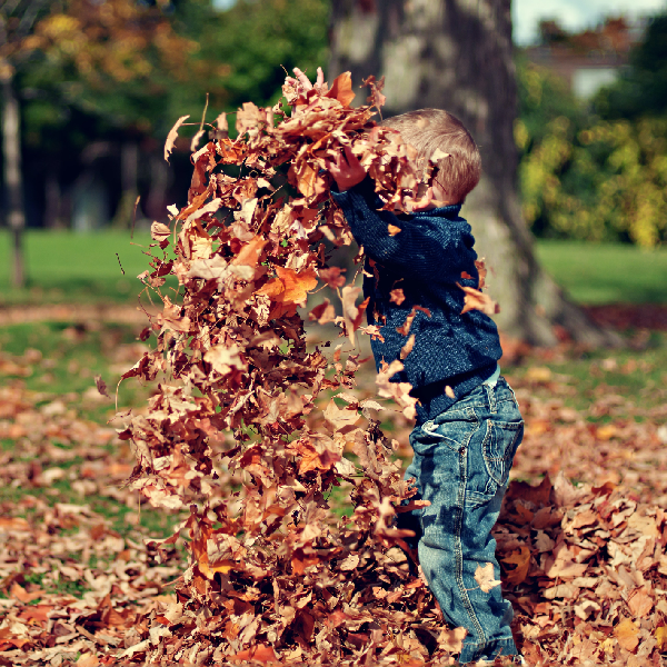 Experience Autumn on the Seacoast of NH